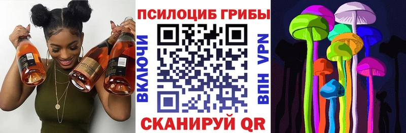 Псилоцибиновые грибы прущие грибы  дарк нет состав  Чердынь 